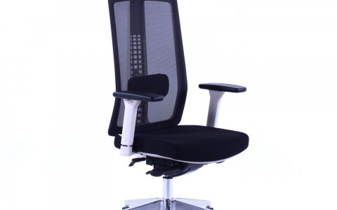 Kancelářská židle SPIRIT SEGO bílá